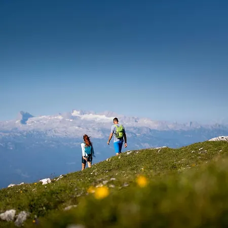 게스트하우스 Speckmoser