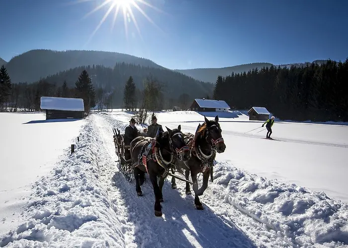 Pensionat Speckmoser Bad Mitterndorf